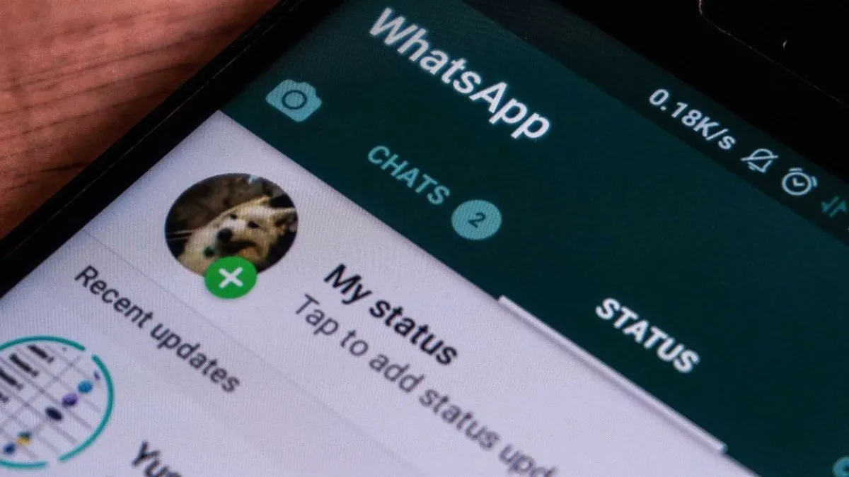 Cara Download Status WhatsApp Orang Lain Tanpa Aplikasi